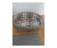 canvas mand voor de hond